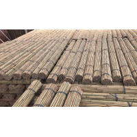 TUTOR BAMBU NATURAL 1,50m. Calibre 20-22mm, 100ud.