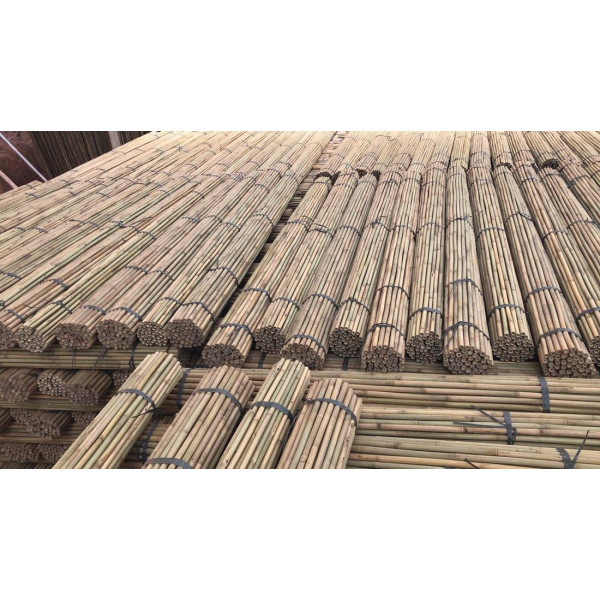 TUTOR BAMBU NATURAL 0,60m. Calibre 08-10mm. 500...