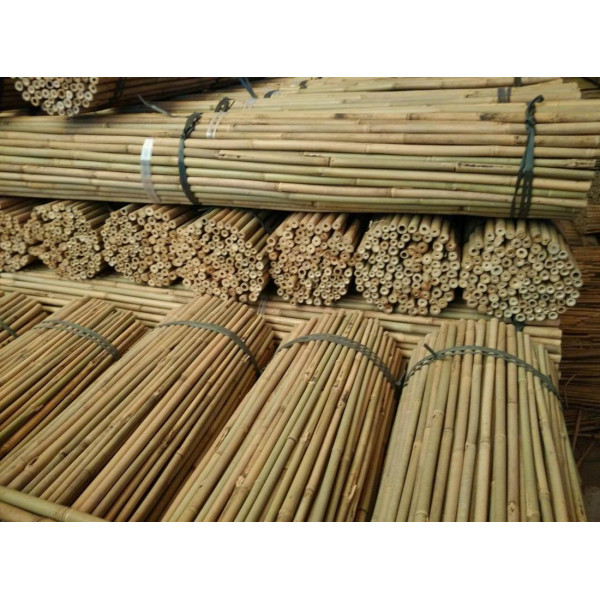 TUTOR BAMBU NATURAL 0,60m. Calibre 08-10mm. 500...