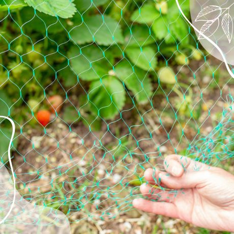 Guía definitiva para instalar una malla antipájaros